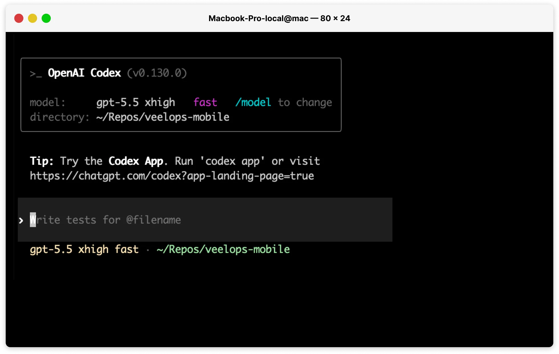 Veelops CLI terminal screen running a coding session.
